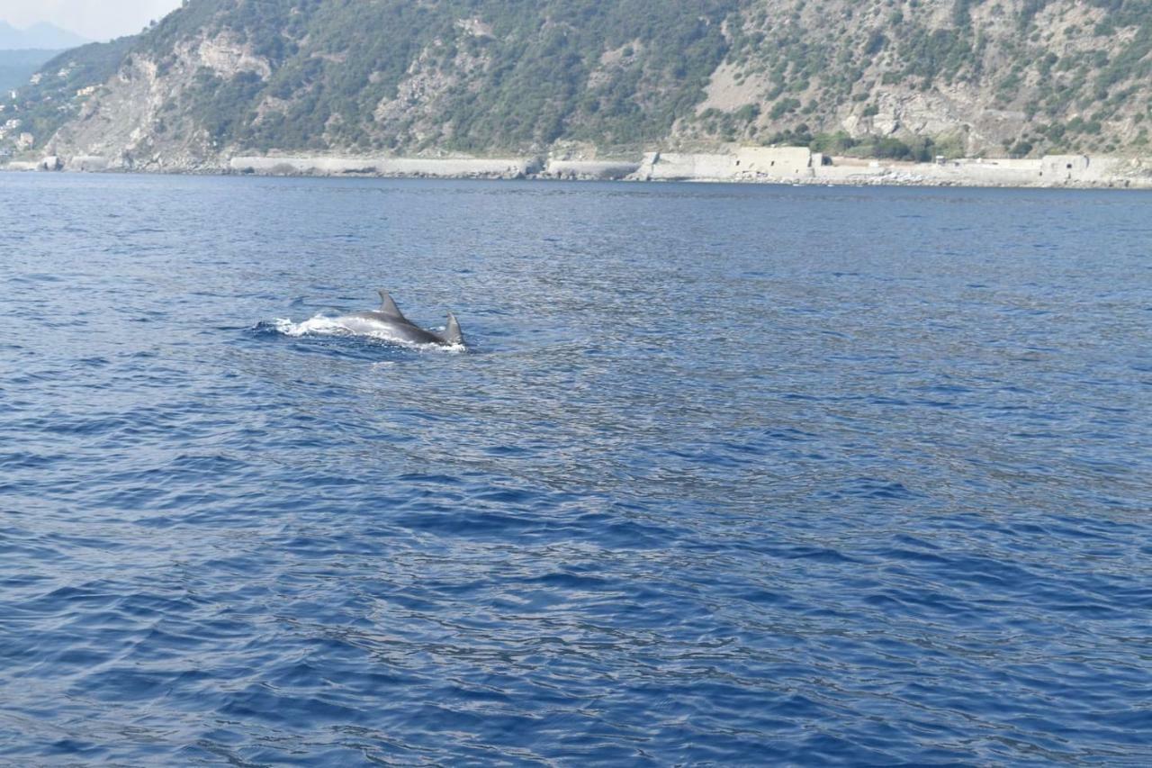 Tavernetta 109 Terrazza Tra Le 5 Terre E Portofino เดวามารีนา ภายนอก รูปภาพ