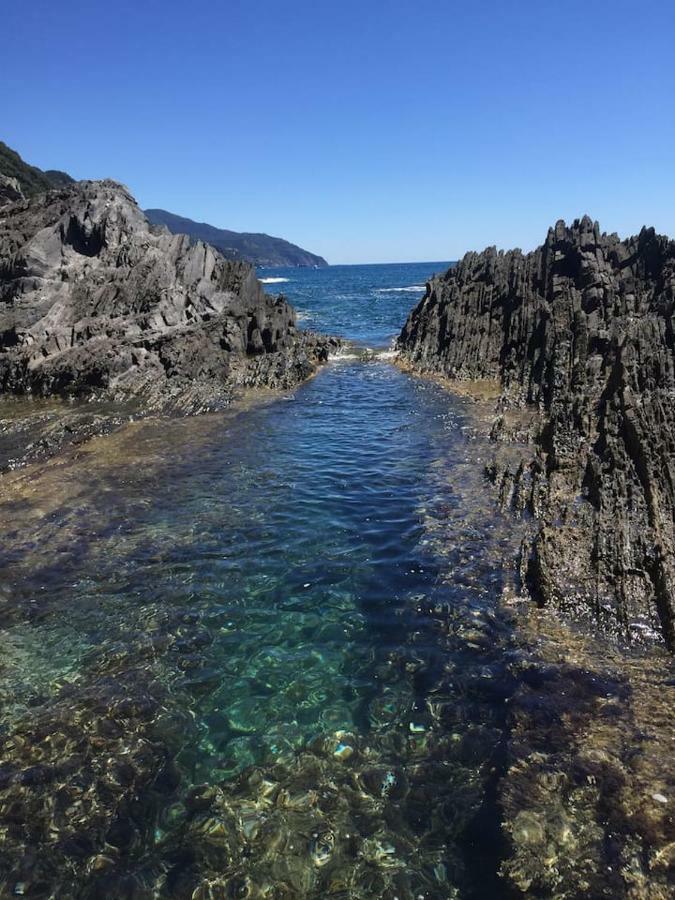 Tavernetta 109 Terrazza Tra Le 5 Terre E Portofino เดวามารีนา ภายนอก รูปภาพ